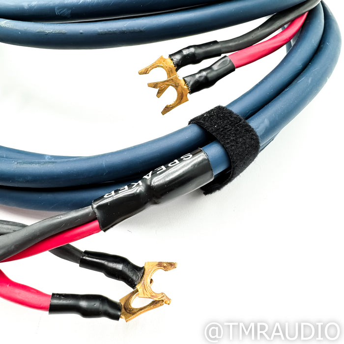 AudioQuest Type 4 Speaker Cables; 10'  Pair w/ Spades