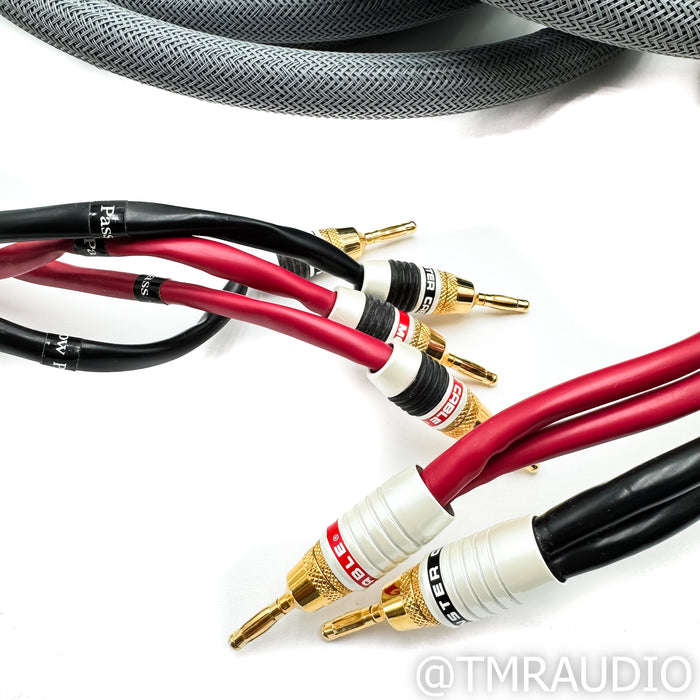 Monster Cable M2.4s Bi-Wire Speaker Cables; Rare Near Mint 15ft Set in Hardshell Case