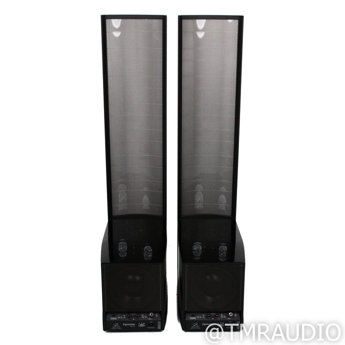 Martin Logan Expression ESL 13A Electrostatic Hybrid Floorstanding Speakers; Black Pair