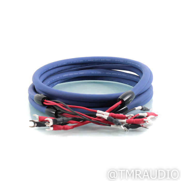 Cardas Audio Clear Cygnus Bi-Wire Speaker Cables; 2.5m Pair