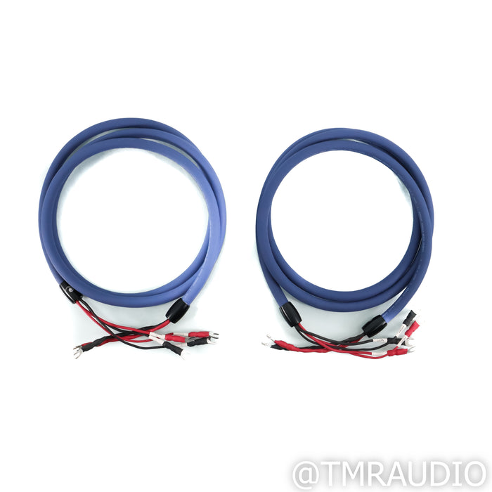 Cardas Audio Clear Cygnus Bi-Wire Speaker Cables; 2.5m Pair