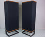 Vandersteen Model 2 Floorstanding Speakers w/ Sound Anchor Stands