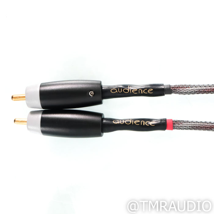 Audience OHNO RCA Cables; 0.75m Pair Interconnects (Open Box)