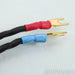 Kubala Sosna Temptation Speaker Cables; 15ft Pair