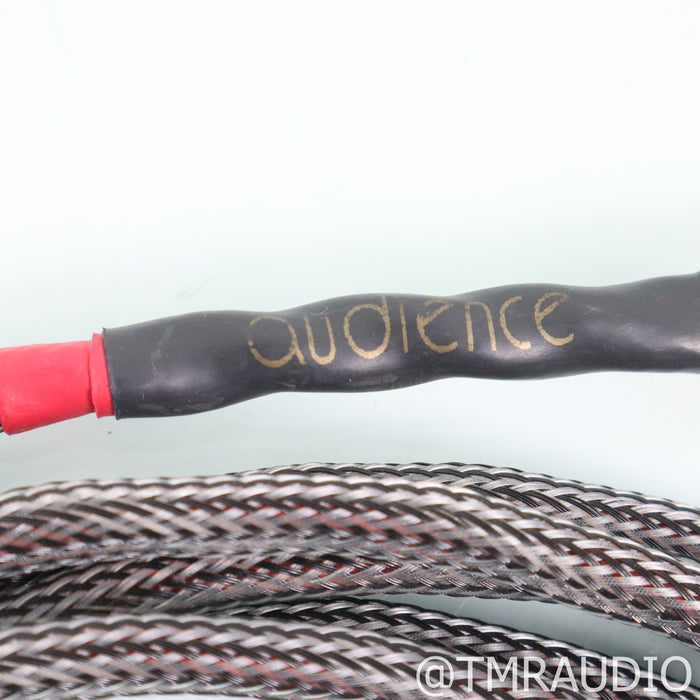 Audience OHNO III Speaker Cables; 4m Pair