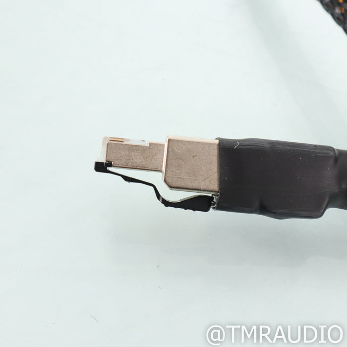 Ansuz Digitalz Ethernet X2 Cable; 2m Digital Cable