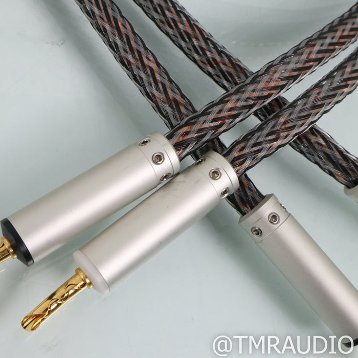 Ansuz Speakz D2 Speaker Cables; 2m Pair