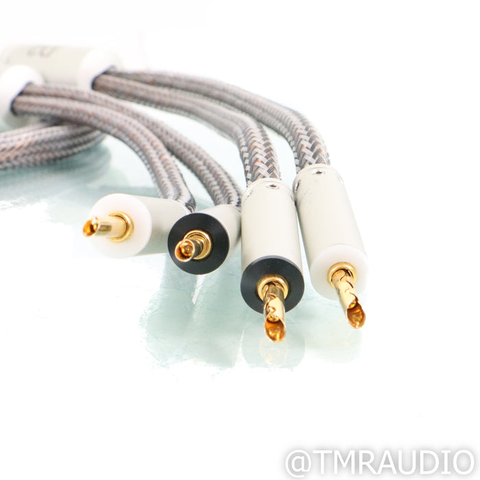Ansuz Speakz D2 Speaker Cables; 2m Pair