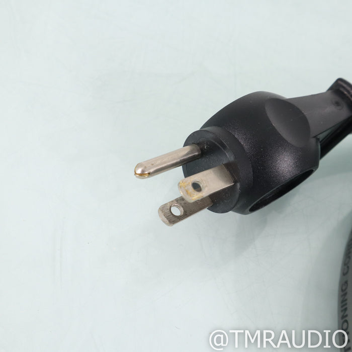 WireWorld Silver Electra 7 Power Cable; 10ft AC Cord