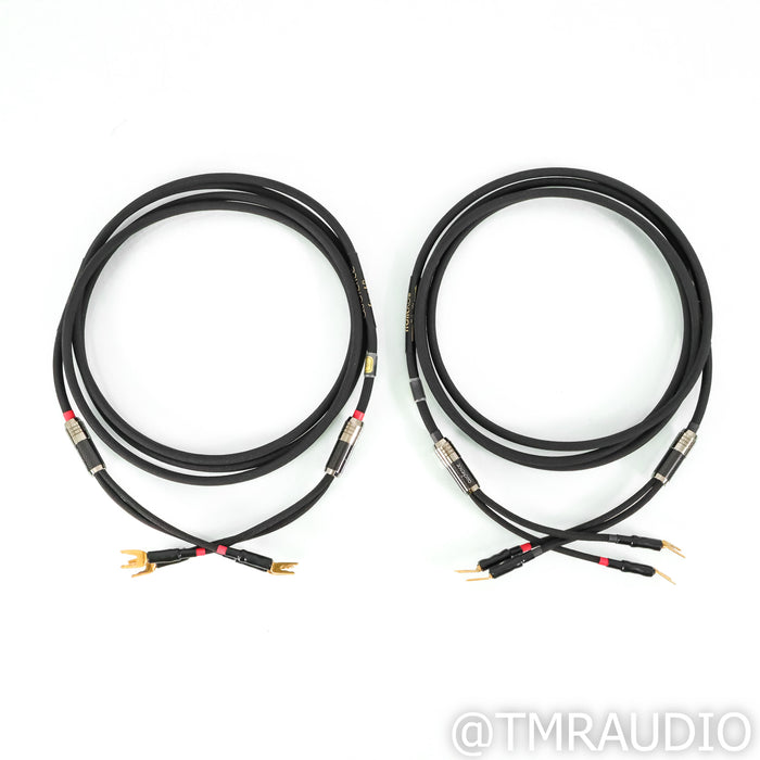 Audience frontRow Speaker Cables; 3m Pair