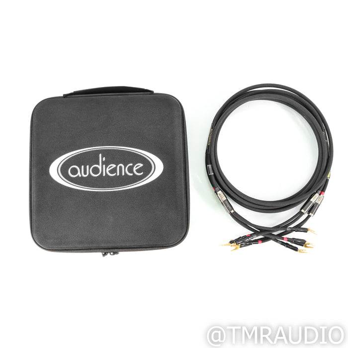 Audience frontRow Speaker Cables; 3m Pair