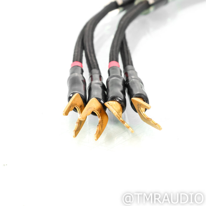 Audience frontRow Speaker Cables; 3m Pair