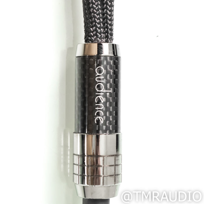 Audience frontRow Speaker Cables; 3m Pair