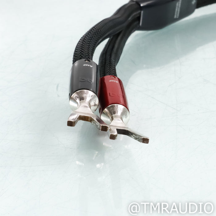 AudioQuest Dragon BiWire Combo Speaker Cables; 3ft Pair