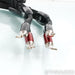 AudioQuest Dragon BiWire Combo Speaker Cables; 3ft Pair