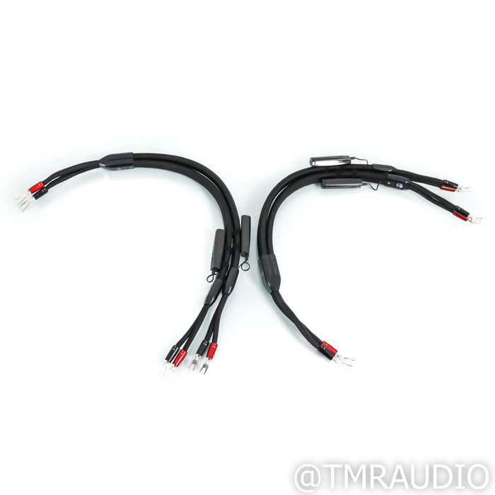 AudioQuest Dragon BiWire Combo Speaker Cables; 3ft Pair