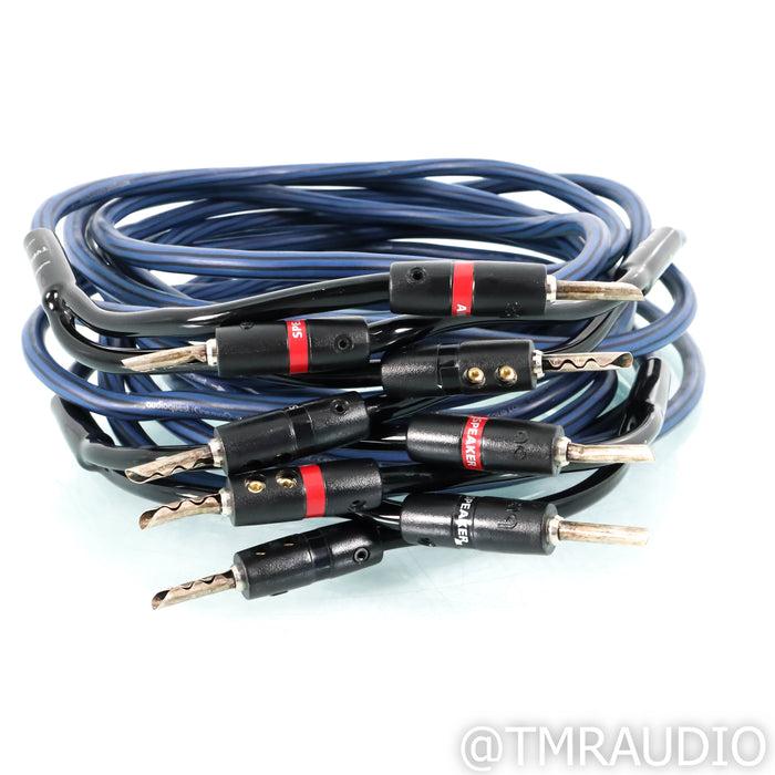 AudioQuest Type 4 Speaker Cables; 3.5m Pair