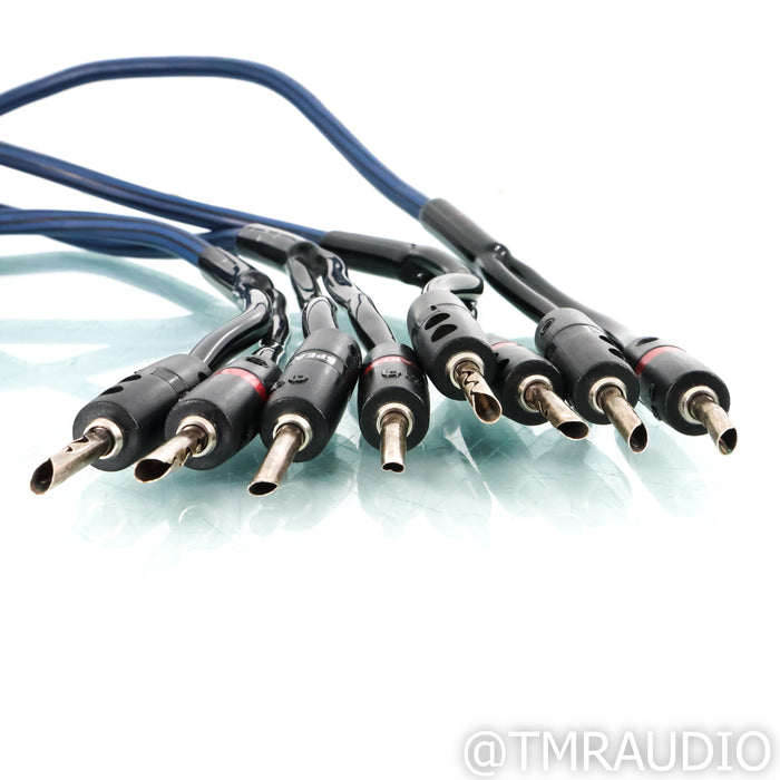 AudioQuest Type 4 Speaker Cables; 3.5m Pair