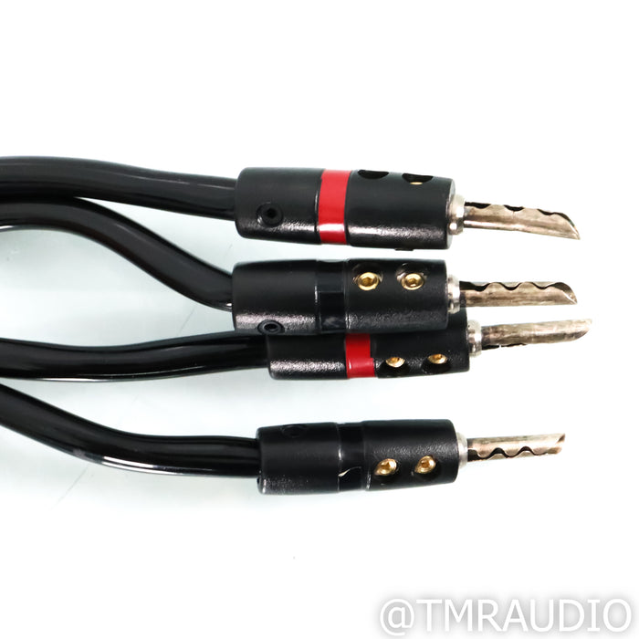 AudioQuest Type 4 Speaker Cables; 3.5m Pair