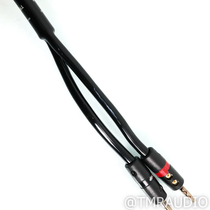 AudioQuest Type 4 Speaker Cables; 3.5m Pair