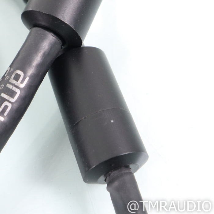 Ansuz Speakz Speaker Cables; 4m Pair