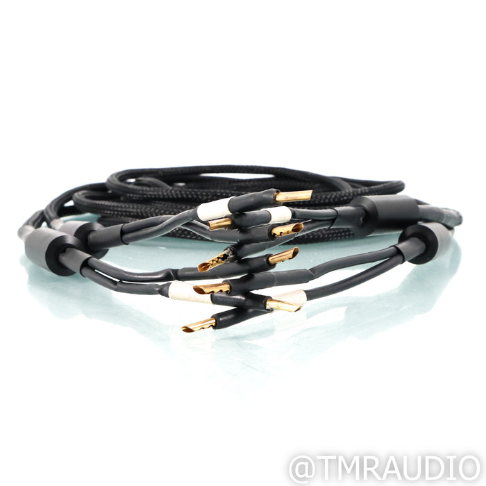 Ansuz Speakz Speaker Cables; 4m Pair