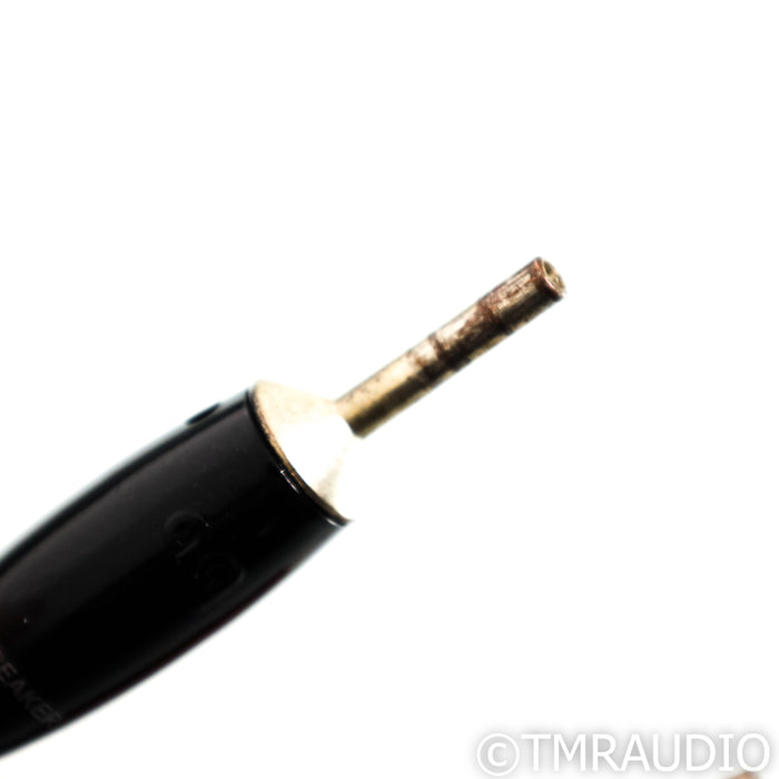 AudioQuest Rocket 44 Speaker Cables; 3m Pair