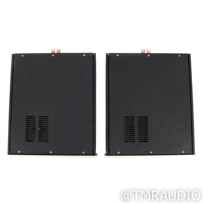 Atma-Sphere Class D Monoblock Power Amplifiers; Pair