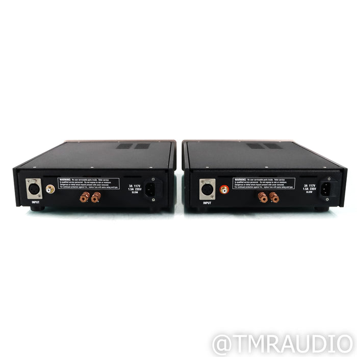 Atma-Sphere Class D Monoblock Power Amplifiers; Pair