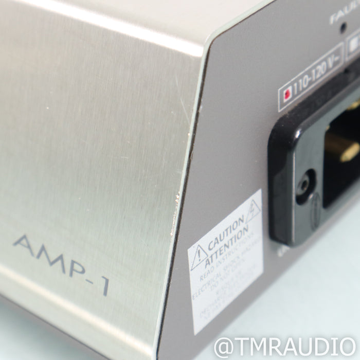 Shunyata Research Venom AMP 1 AC Power Line Conditioner