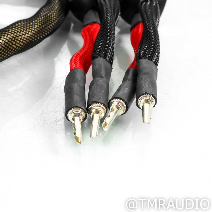 WireWorld Gold Eclipse 7 Speaker Cables; 9ft Pair