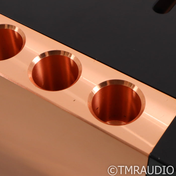 Dan D'Agostino Momentum S250 MxV Stereo Power Amplifier