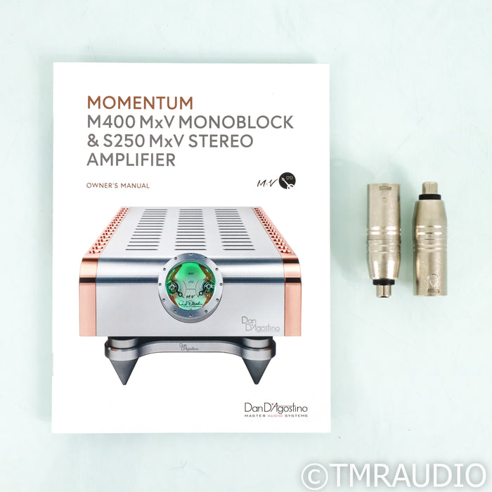 Dan D'Agostino Momentum S250 MxV Stereo Power Amplifier