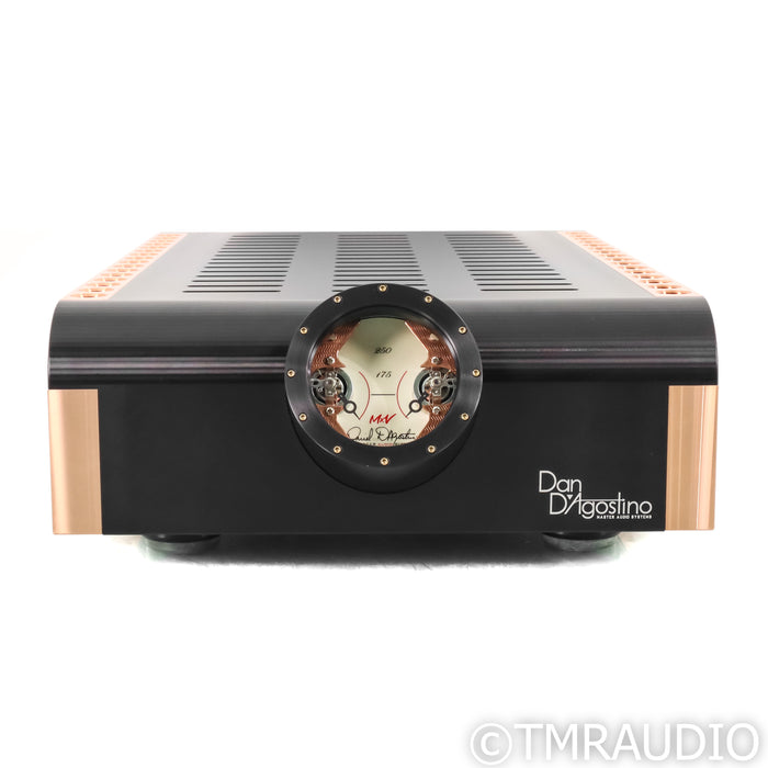 Dan D'Agostino Momentum S250 MxV Stereo Power Amplifier