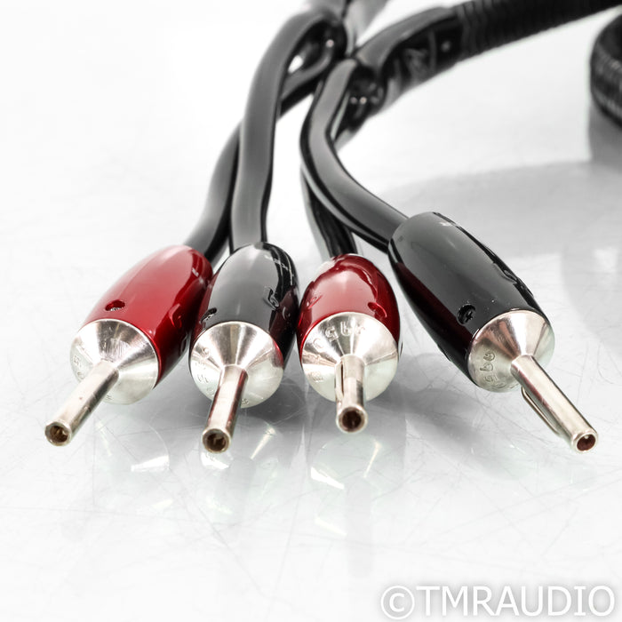 AudioQuest Rocket 44 Speaker Cables; 10ft Pair