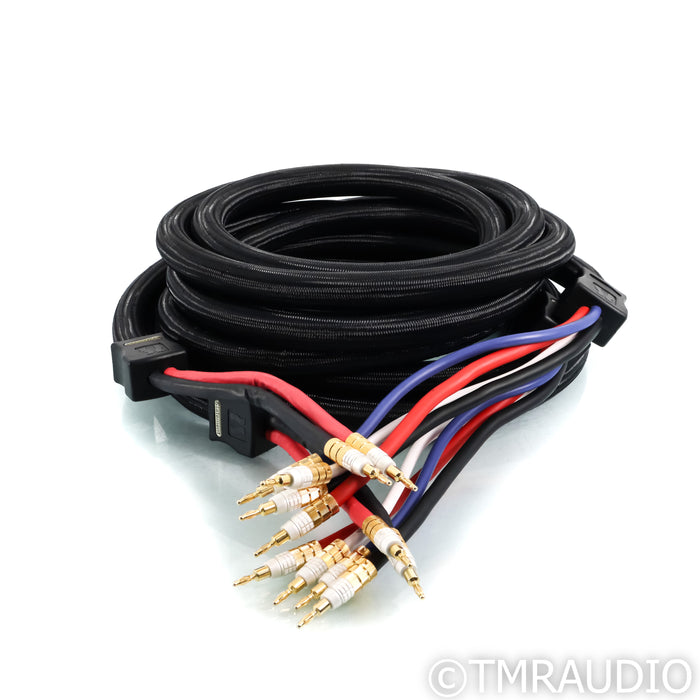 PS Audio XStream Statement Bi-Wire Speaker Cable; 5m pair