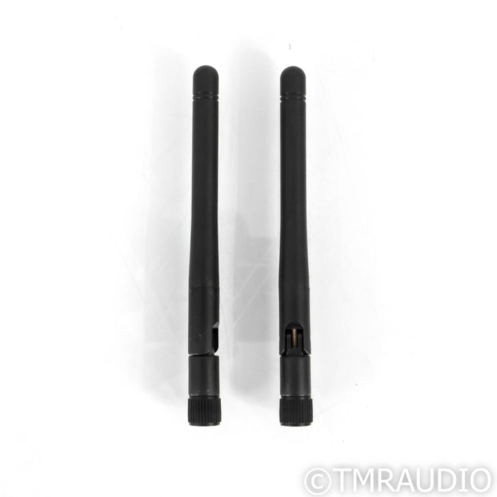 Auralic Aries G1 Music Streamer