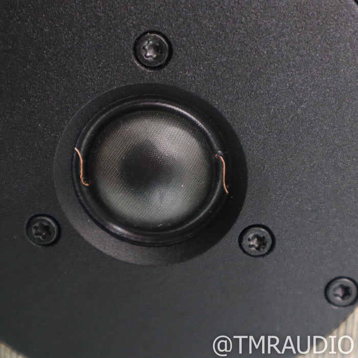 Dynaudio Special Forty Bookshelf Speakers; High Gloss Grey Birch Pair