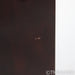 Paradigm Prestige 95F Floorstanding Speakers; Midnight Cherry Pair