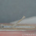 Kiseki Purple Heart N.S. MC Cartridge; Moving Coil