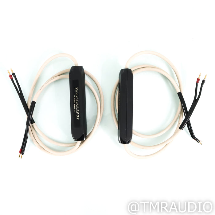 Transparent Audio MusicWave Speaker Cables; 8ft Pair