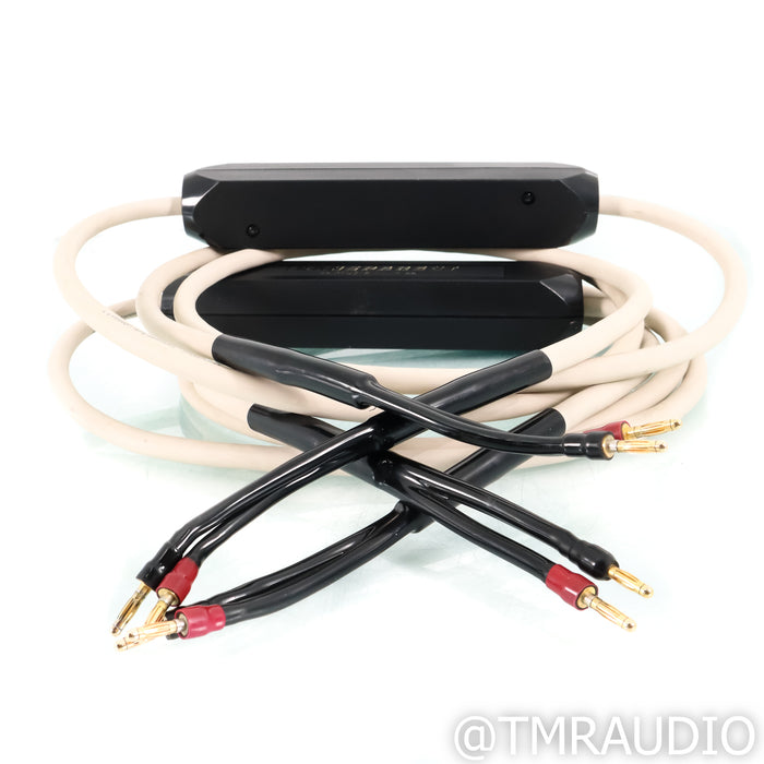 Transparent Audio MusicWave Speaker Cables; 8ft Pair
