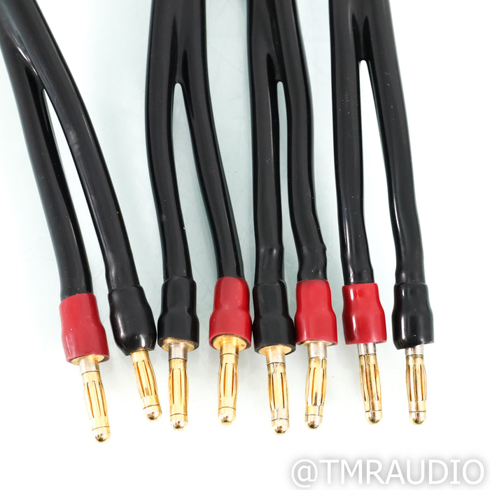 Transparent Audio MusicWave Speaker Cables; 8ft Pair