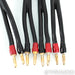 Transparent Audio MusicWave Speaker Cables; 8ft Pair