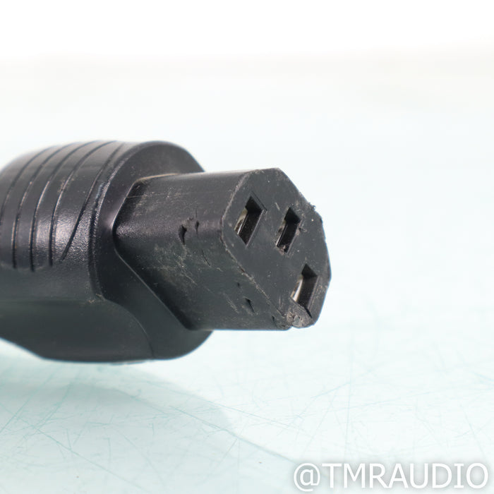 Audience forte V8 Power Conditioner w/ Forte F3 Power Cable