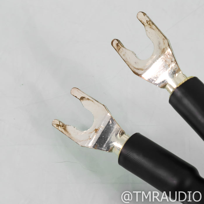 WireWorld Eclipse 8 Speaker Cables; 8ft pair