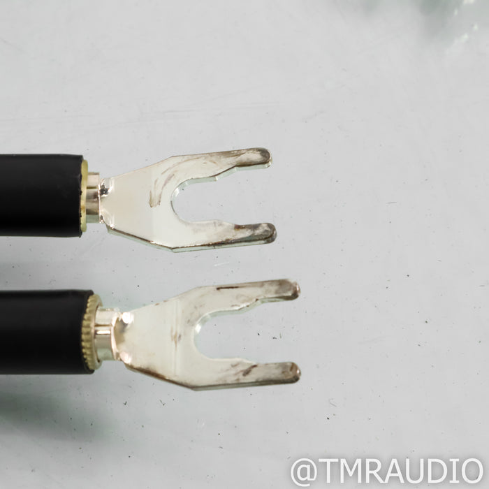 WireWorld Eclipse 8 Speaker Cables; 8ft pair