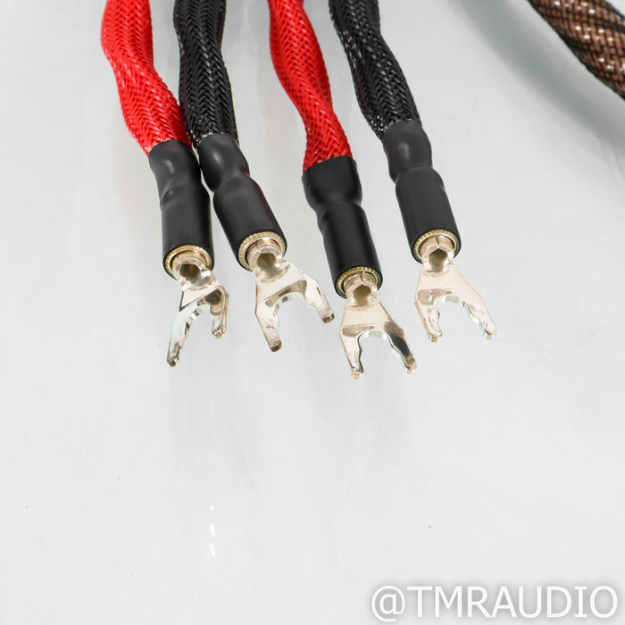 WireWorld Eclipse 8 Speaker Cables; 8ft pair