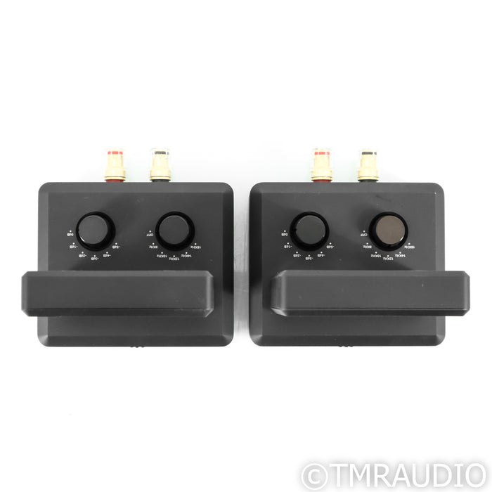 Aperion Audio DST Dual Firing AMT Ribbon Super Tweeter; Pair