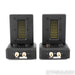Aperion Audio DST Dual Firing AMT Ribbon Super Tweeter; Pair
